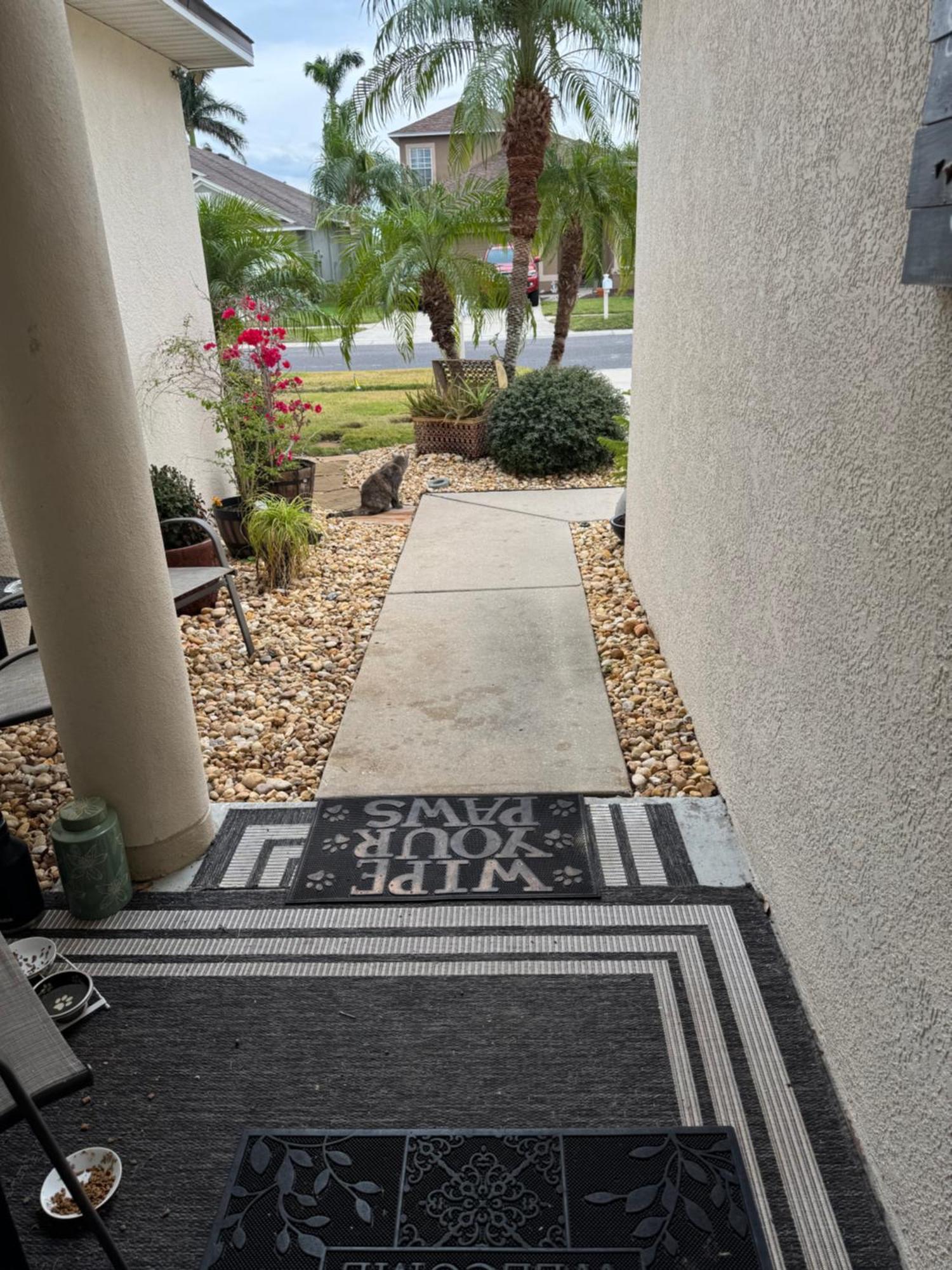 Ruskin Fl Private 2 Bdrm 1 Bath Suite Common Areas Shared With Host And Cat Esterno foto