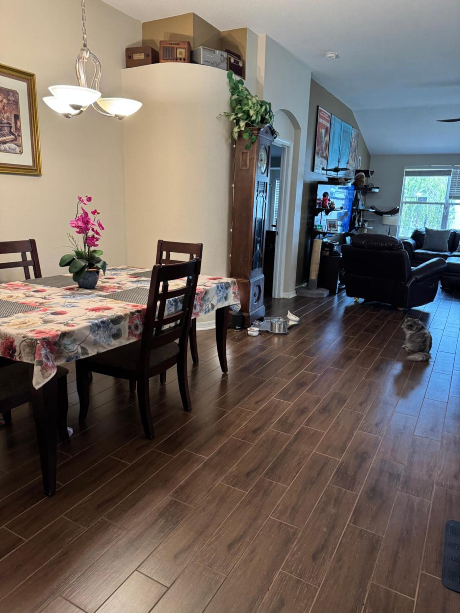 Ruskin Fl Private 2 Bdrm 1 Bath Suite Common Areas Shared With Host And Cat Esterno foto